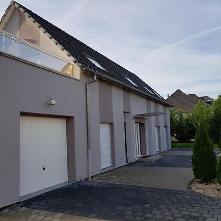 Gites Spa Strasbourg - La Villa 15 Ittenheim Esterno foto